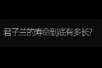 君子兰的寿命到底有多长?