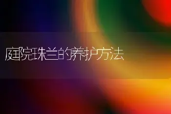 庭院珠兰的养护方法