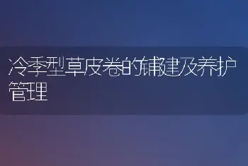 冷季型草皮卷的铺建及养护管理