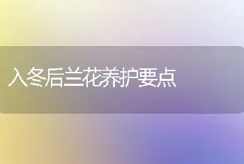 入冬后兰花养护要点