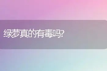 绿萝真的有毒吗?