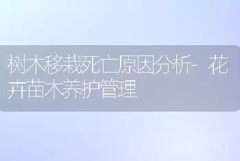 树木移栽死亡原因分析-花卉苗木养护管理