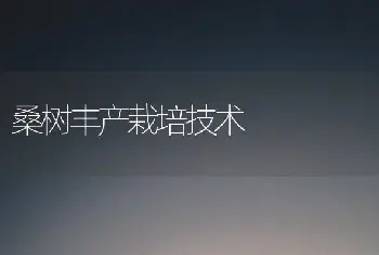 桑树丰产栽培技术