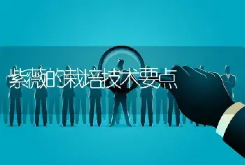 紫薇的栽培技术要点