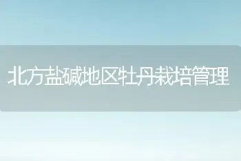 北方盐碱地区牡丹栽培管理