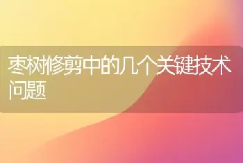 枣树修剪中的几个关键技术问题