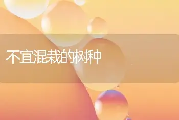 不宜混栽的树种