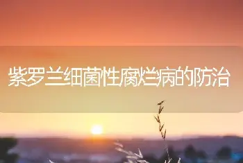 月季翻盆莫过三月