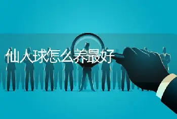 仙人球怎么养最好