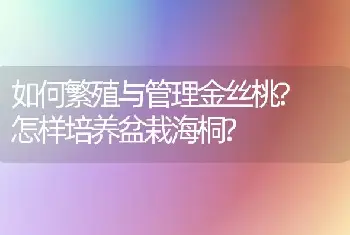 如何繁殖与管理金丝桃? 怎样培养盆栽海桐?