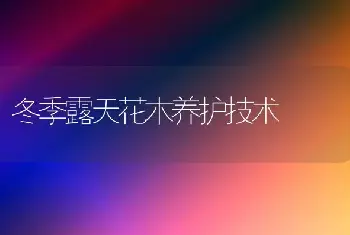 冬季露天花木养护技术