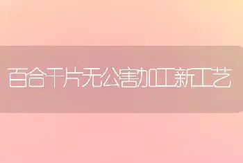 百合干片无公害加工新工艺