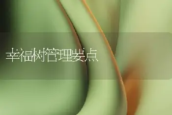 幸福树管理要点