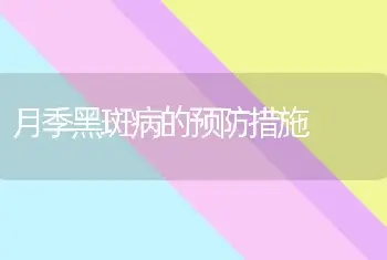 雪松的习性和栽培技术