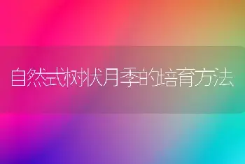 自然式树状月季的培育方法