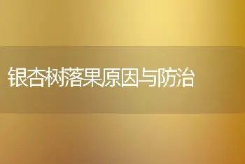 银杏树落果原因与防治