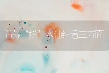 石蒜“扮”水仙细看三方面