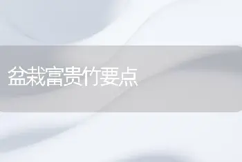 盆栽富贵竹要点