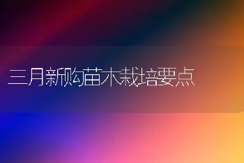 三月新购苗木栽培要点