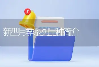 新型月季系列品种简介