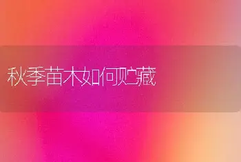 秋季苗木如何贮藏