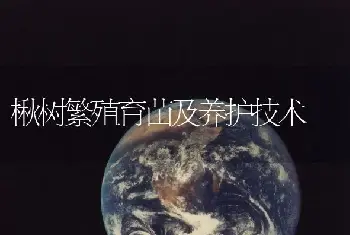 楸树繁殖育苗及养护技术