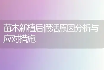 苗木新植后假活原因分析与应对措施