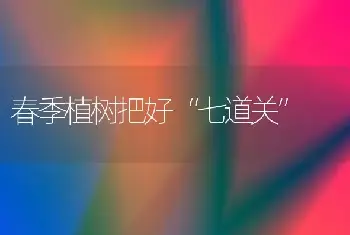 春季植树把好“七道关”