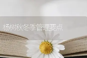 杨树秋冬季管理要点