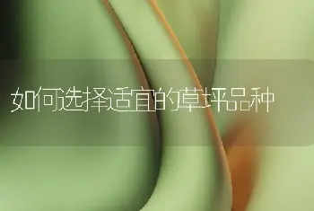 如何选择适宜的草坪品种