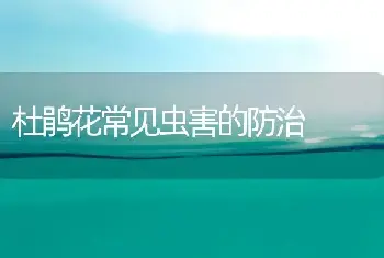 杜鹃花常见虫害的防治