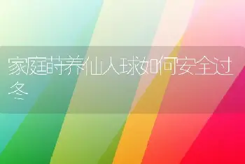 家庭莳养仙人球如何安全过冬