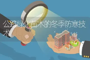 公路绿化苗木的冬季防寒技术