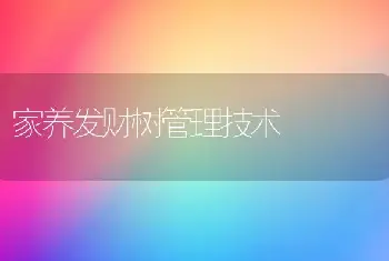 家养发财树管理技术