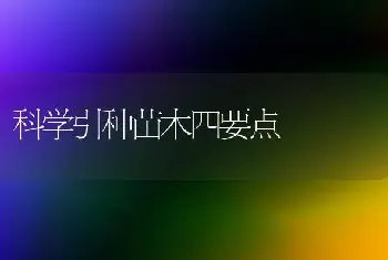 科学引种苗木四要点