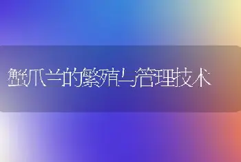 蟹爪兰的繁殖与管理技术