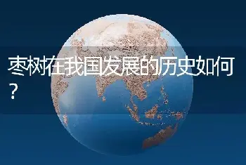 枣树在我国发展的历史如何？