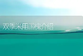 矮牵牛大型穴盘生产技术