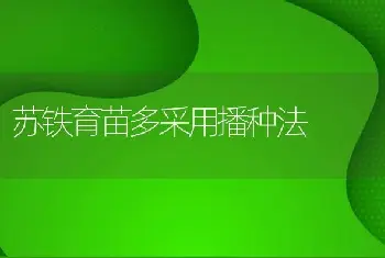 苏铁育苗多采用播种法