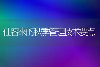 仙客来的秋季管理技术要点