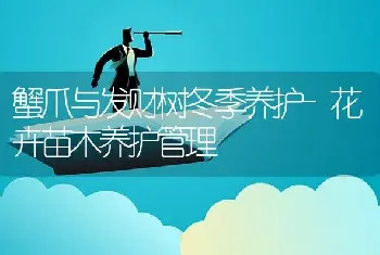 蟹爪与发财树冬季养护-花卉苗木养护管理