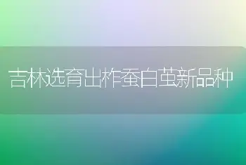 吉林选育出柞蚕白茧新品种