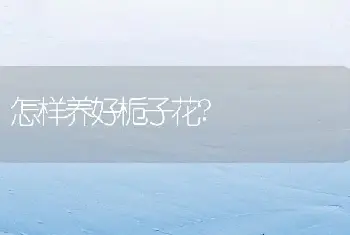 怎样养好栀子花?