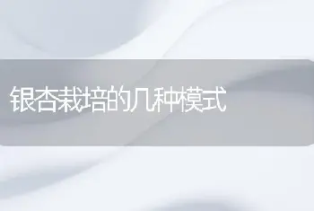 银杏栽培的几种模式