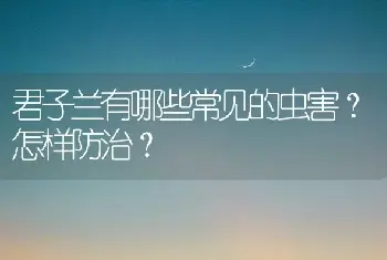 君子兰有哪些常见的虫害？怎样防治？