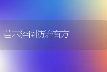 苗木猝倒防治有方