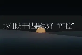 水仙防干枯要做好“四控”