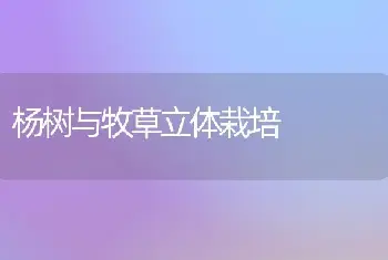 杨树与牧草立体栽培