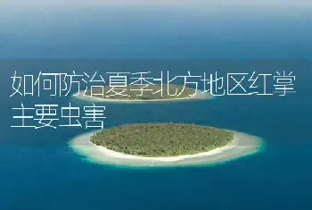 如何防治夏季北方地区红掌主要虫害