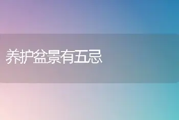 为什么入房过早会影响君子兰开花?